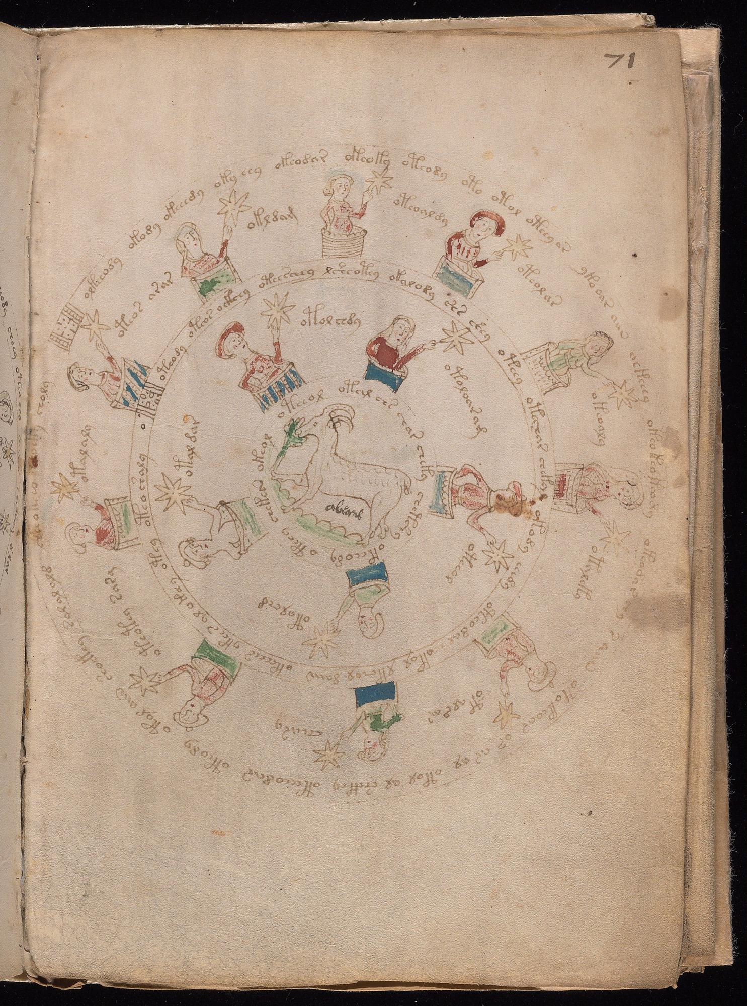 Voynich Manuscript folio f71r — Beinecke MS 408